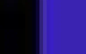 Women Cervin Capri 15 Bicolore Stocking