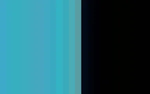 Women Cervin Capri 15 Bicolore Stocking