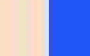 Women Cervin Capri 15 Bicolore Stocking