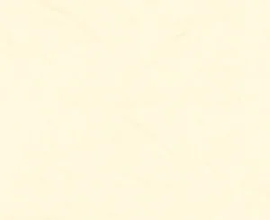 Women Cervin Champs Elysees Stockings