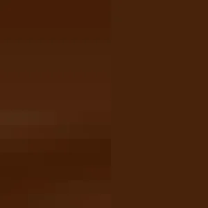 Women Trasparenze Cortina 100 Tights