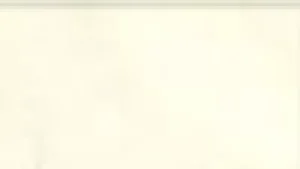 Women Silvia Grandi Eva 15 Stockings