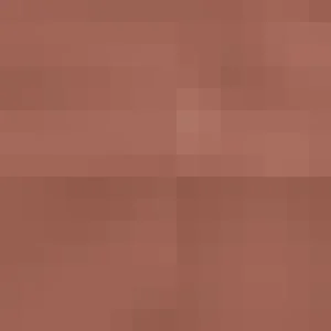 Women Platino Frappe 15 Pantyhose