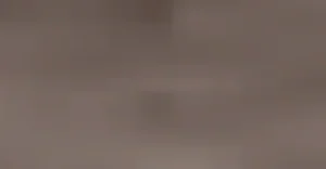 Women Platino Frappe 15 Pantyhose