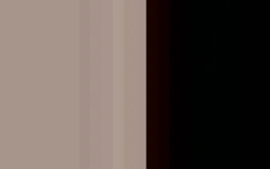 Women Cervin Liberation 45 Stockings