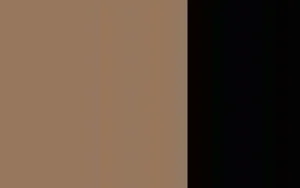 Women Cervin Liberation 45 Stockings