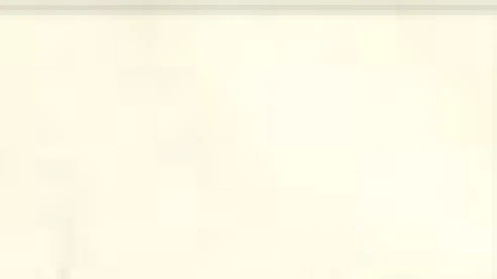 noemi__pantyhose_7-1.webp Women Trasparenze Noemi 8 Pantyhose