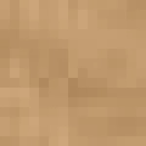 Women Cervin Ntation Stockings