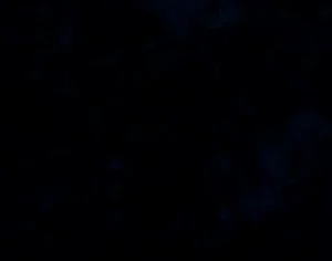 Women Pretty Polly Nylons Back Seamed Pantyhose