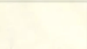 Women Trasparenze Oleandro 20 Pantyhose