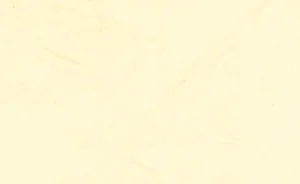 Women Gio Poin D Heel Fully Fashioned Stocking