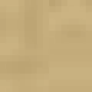 Women Gio Reinforced Heel And Toe Stocking