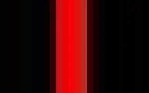 Women Cervin Seduction Couture Bicolore Pantyhose