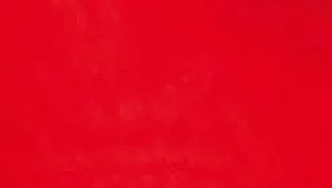 Women Cervin Seduction Couture Stocking