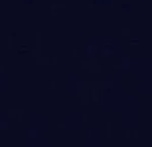 Women Hudson Soft Matt 20 Pantyhose